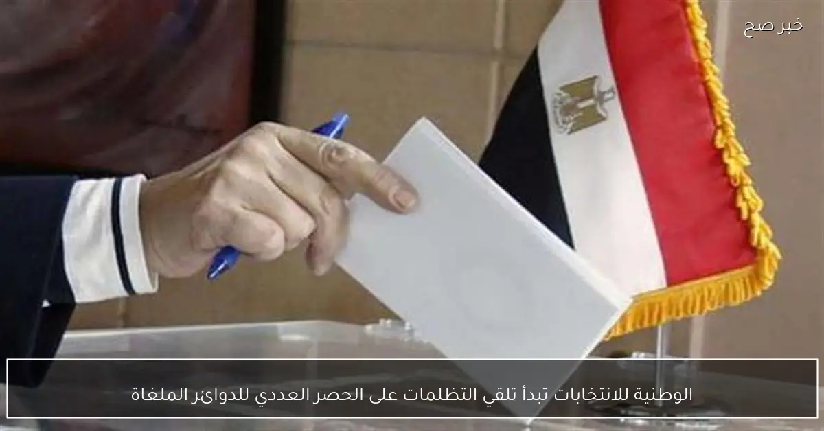 الوطنية للانتخابات تبدأ تلقي التظلمات على الحصر العددي للدوائر الملغاة