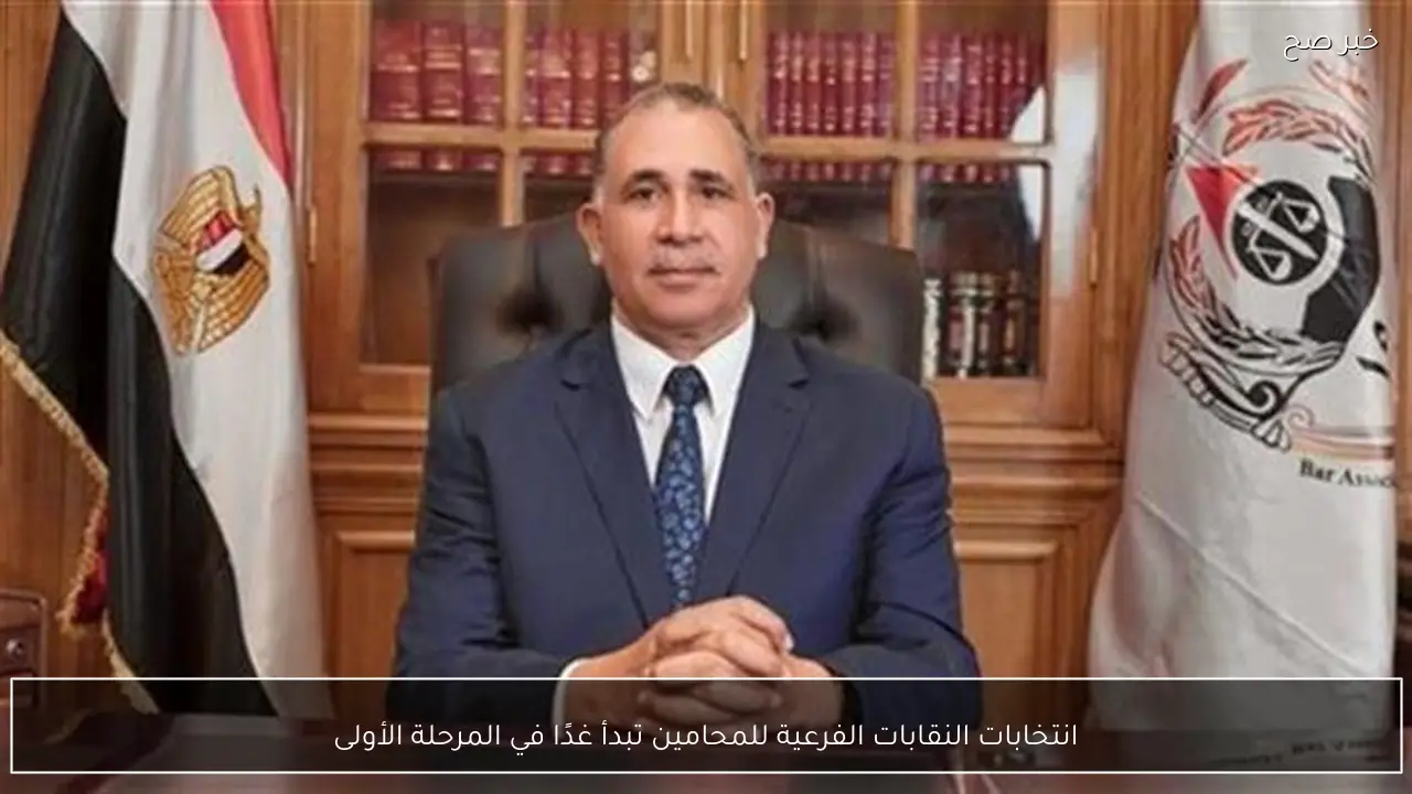 انتخابات النقابات الفرعية للمحامين تبدأ غدًا في المرحلة الأولى