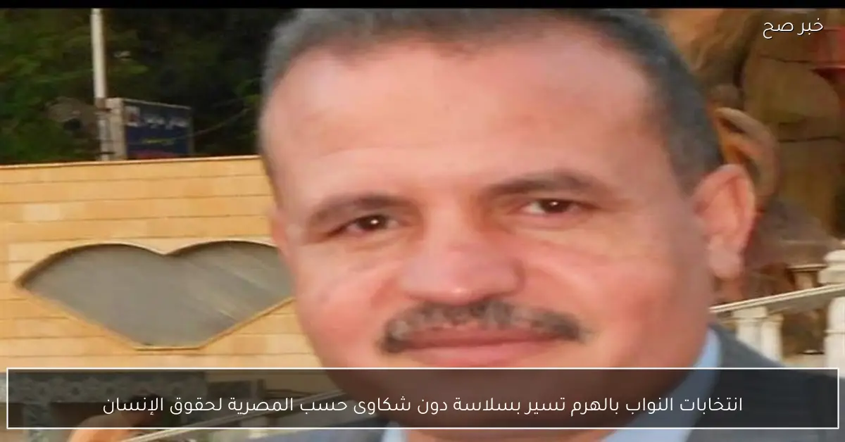 انتخابات النواب بالهرم تسير بسلاسة دون شكاوى حسب المصرية لحقوق الإنسان