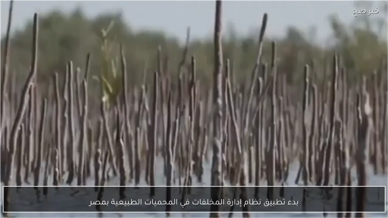 بدء تطبيق نظام إدارة المخلفات في المحميات الطبيعية بمصر