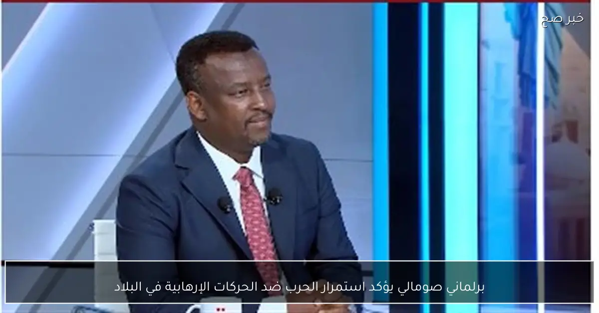 برلماني صومالي يؤكد استمرار الحرب ضد الحركات الإرهابية في البلاد