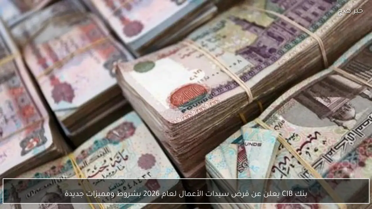 بنك CIB يعلن عن قرض سيدات الأعمال لعام 2026 بشروط ومميزات جديدة