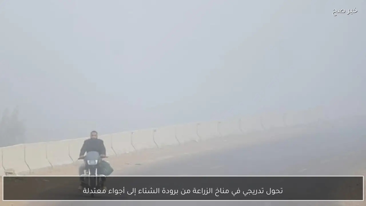 تحول تدريجي في مناخ الزراعة من برودة الشتاء إلى أجواء معتدلة