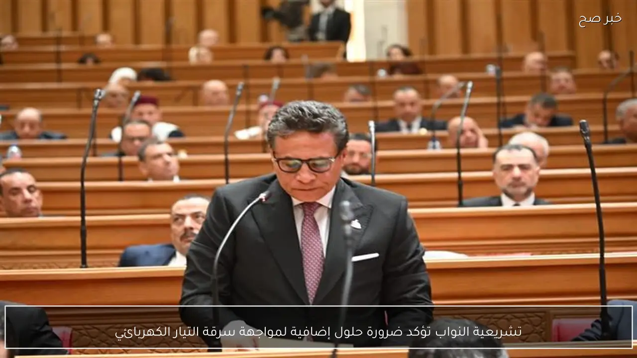 تشريعية النواب تؤكد ضرورة حلول إضافية لمواجهة سرقة التيار الكهربائي