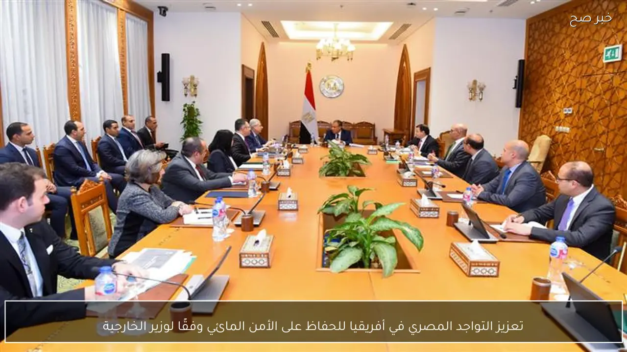 تعزيز التواجد المصري في أفريقيا للحفاظ على الأمن المائي وفقًا لوزير الخارجية