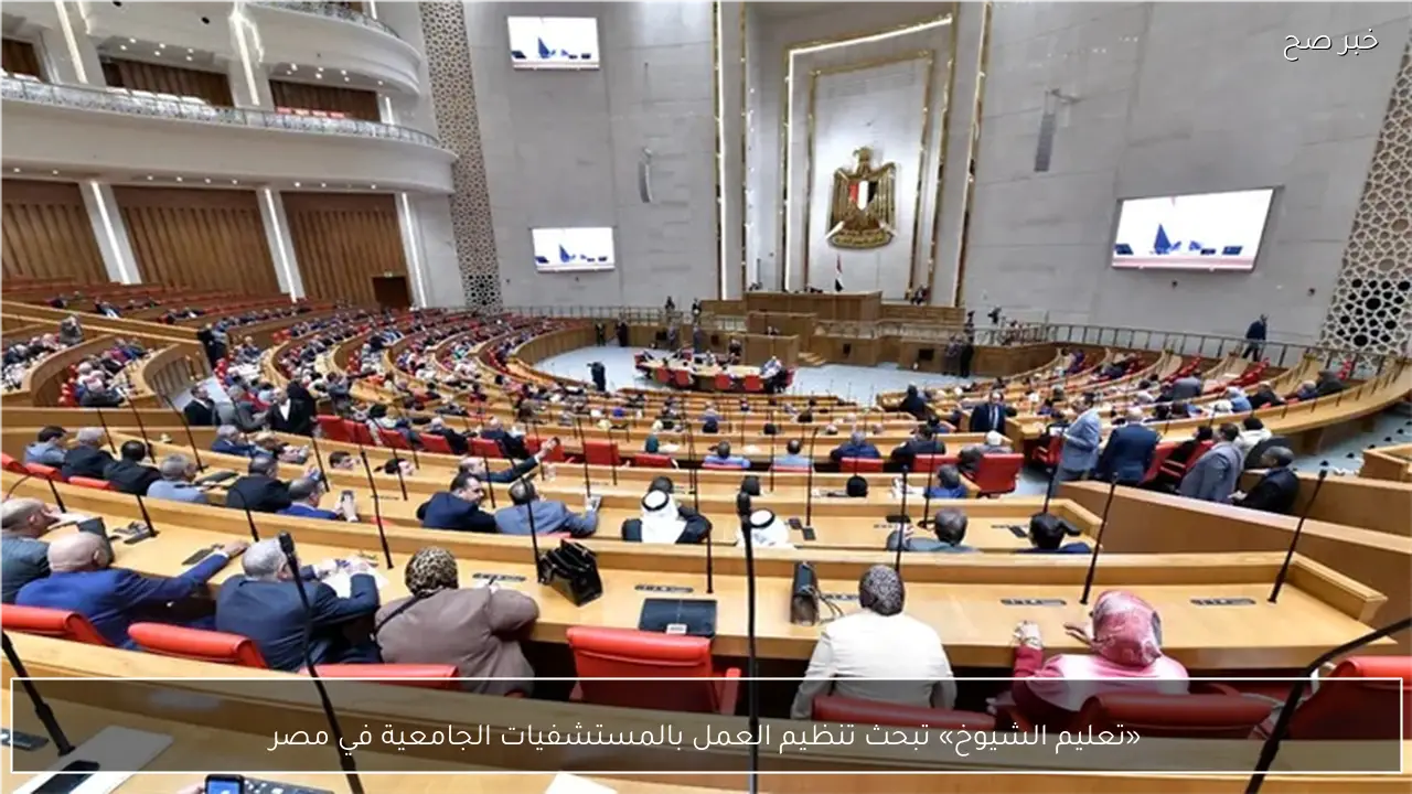 «تعليم الشيوخ» تبحث تنظيم العمل بالمستشفيات الجامعية في مصر