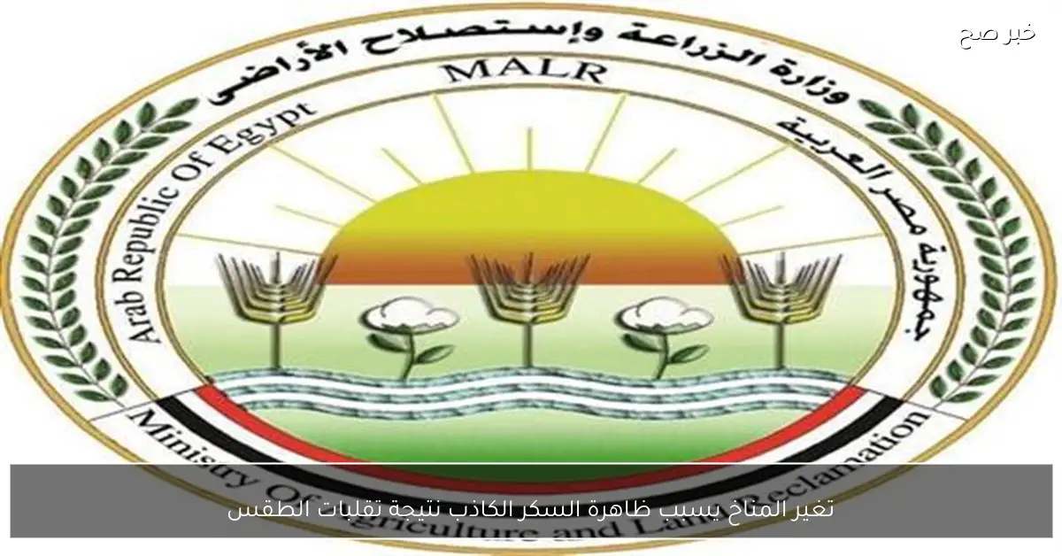 تغير المناخ يسبب ظاهرة السكر الكاذب نتيجة تقلبات الطقس