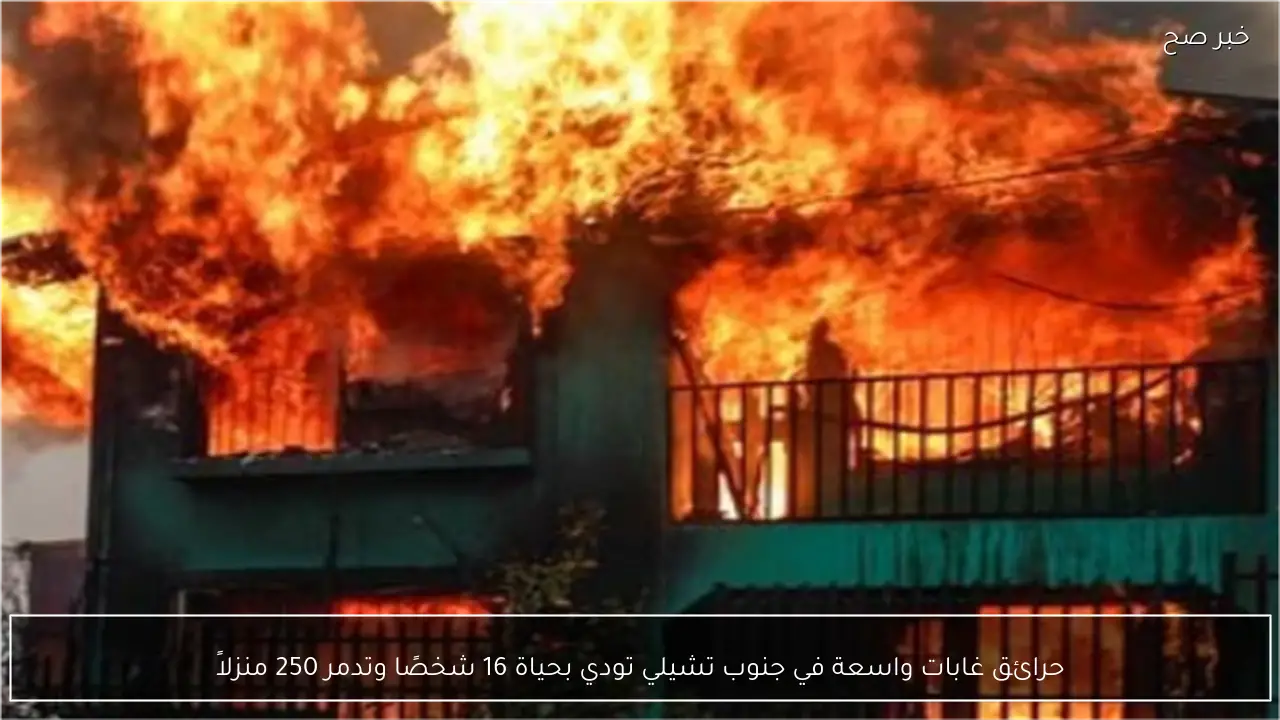 حرائق غابات واسعة في جنوب تشيلي تودي بحياة 16 شخصًا وتدمر 250 منزلاً