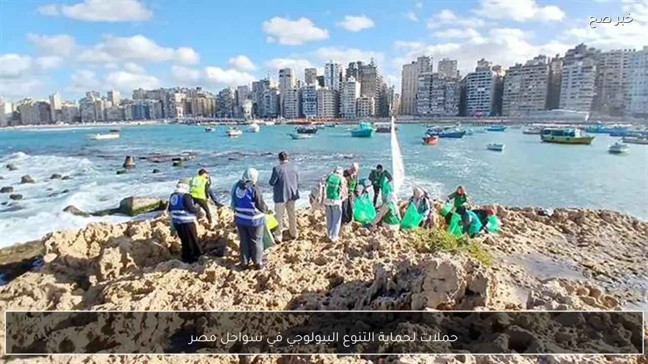 حملات لحماية التنوع البيولوجي في سواحل مصر
