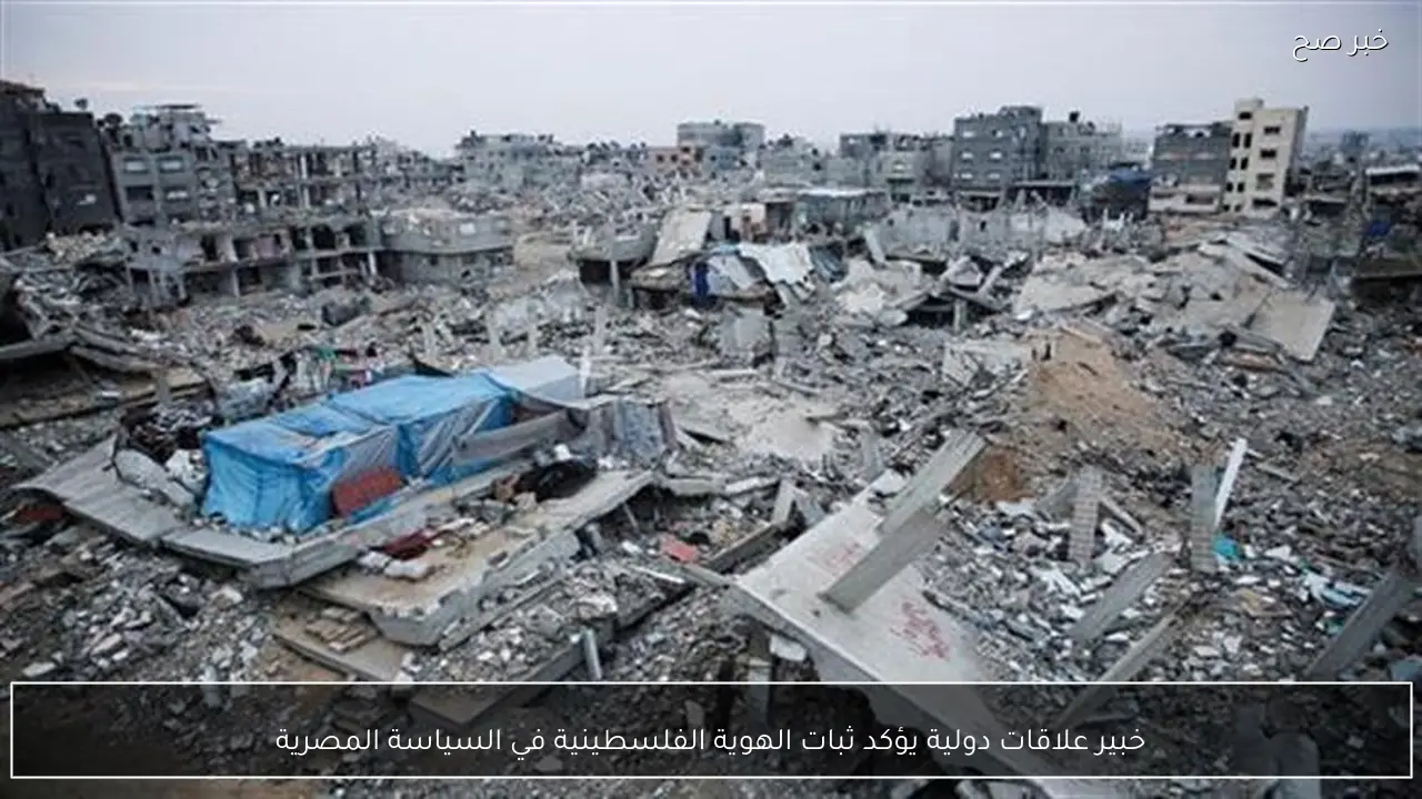 خبير علاقات دولية يؤكد ثبات الهوية الفلسطينية في السياسة المصرية