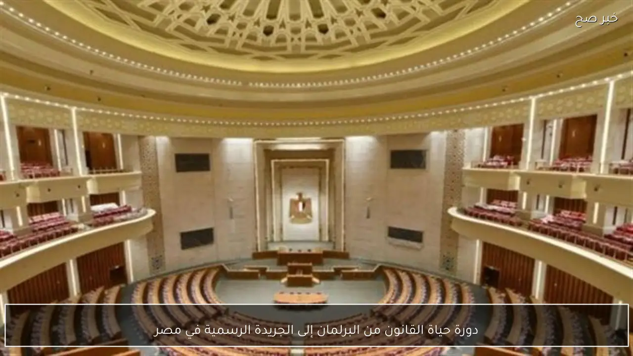 دورة حياة القانون من البرلمان إلى الجريدة الرسمية في مصر