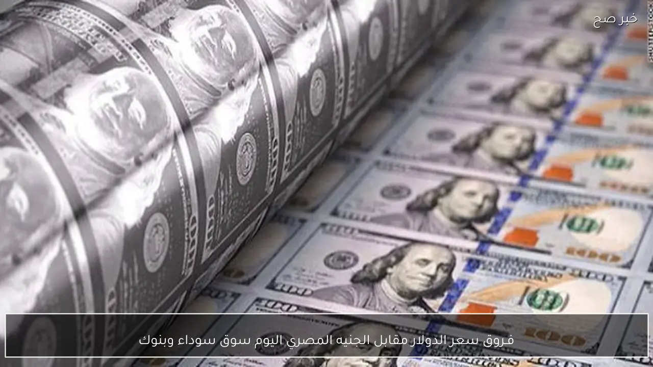 فـروق سعر الدولار مقابل الجنيه المصري اليوم بالسوق السوداء والبنوك