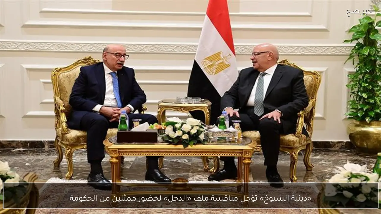 «دينية الشيوخ» تؤجل مناقشة ملف «الدجل» لحضور ممثلين من الحكومة