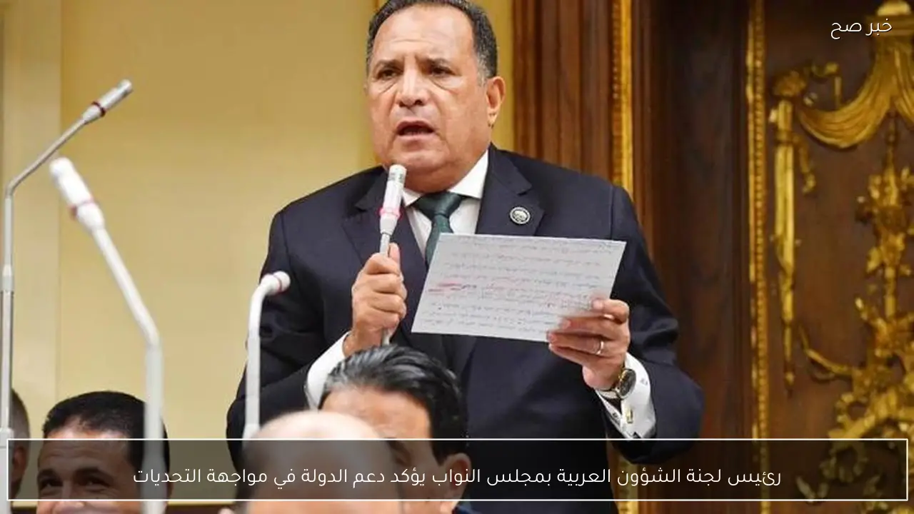 رئيس لجنة الشؤون العربية بمجلس النواب يؤكد دعم الدولة في مواجهة التحديات