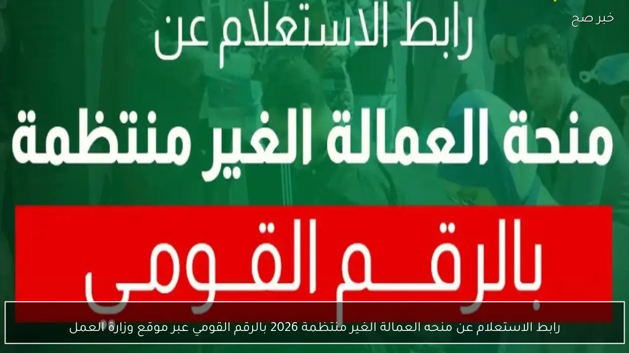رابط الاستعلام عن منحه العمالة الغير منتظمة 2026 بالرقم القومي عبر موقع وزارة العمل