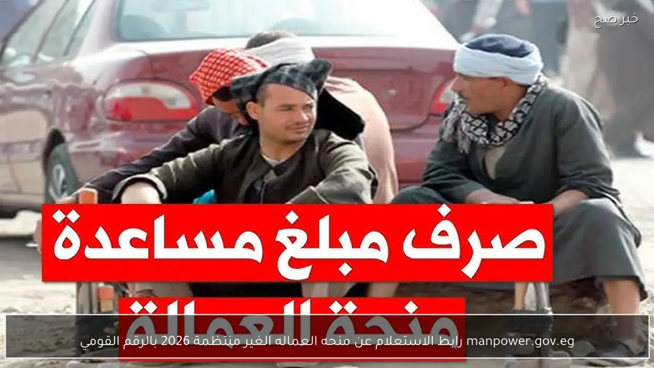 manpower.gov.eg رابط الاستعلام عن منحه العماله الغير منتظمة 2026 بالرقم القومي