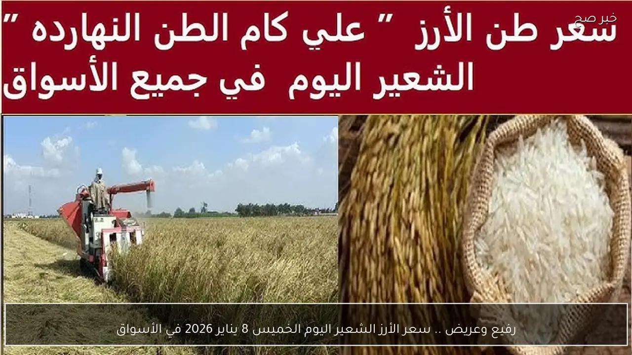 رفيع وعريض .. سعر الأرز الشعير اليوم الخميس 8 يناير 2026 في الأسواق