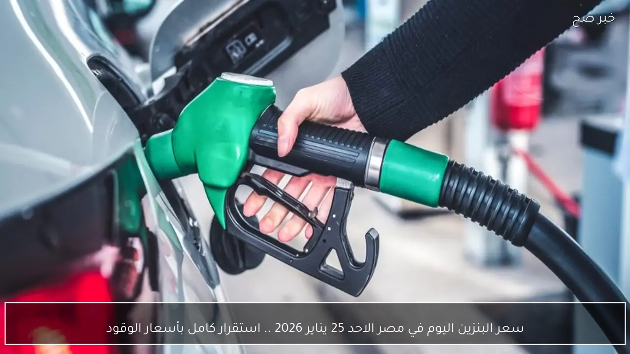 سعر البنزين اليوم في مصر الاحد 25 يناير 2026 .. استقرار كامل بأسعار الوقود