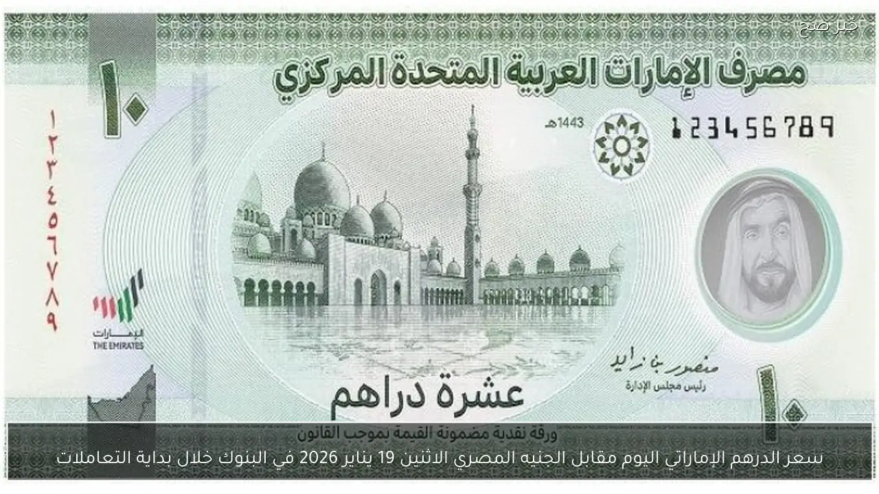 سعر الدرهم الإماراتي اليوم مقابل الجنيه المصري الاثنين 19 يناير 2026 في البنوك خلال بداية التعاملات