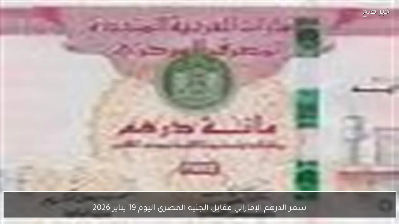 سعر الدرهم الإماراتي مقابل الجنيه المصري اليوم 19 يناير 2026