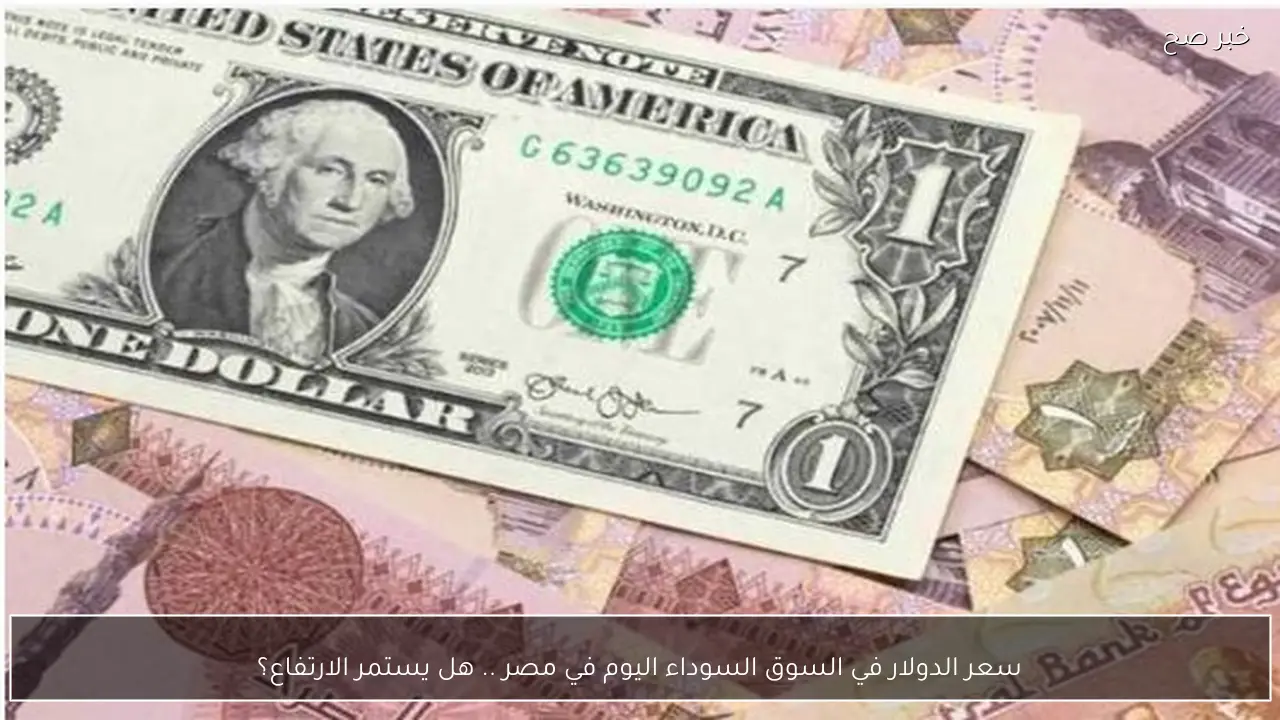 سعر الدولار في السوق السوداء اليوم في مصر .. هل يستمر بالتذبذب؟