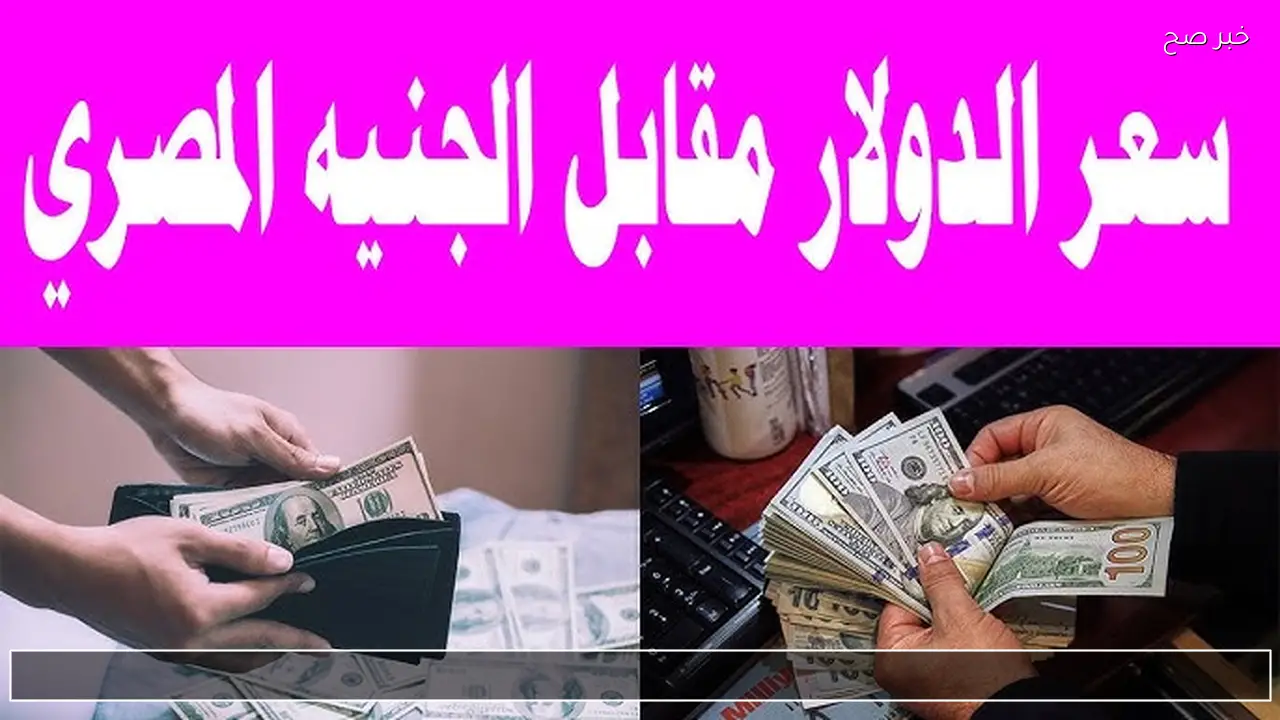 سعر الدولار اليوم مقابل الجنيه المصري الاحد 11 يناير 2026 في السوق السوداء والبنوك