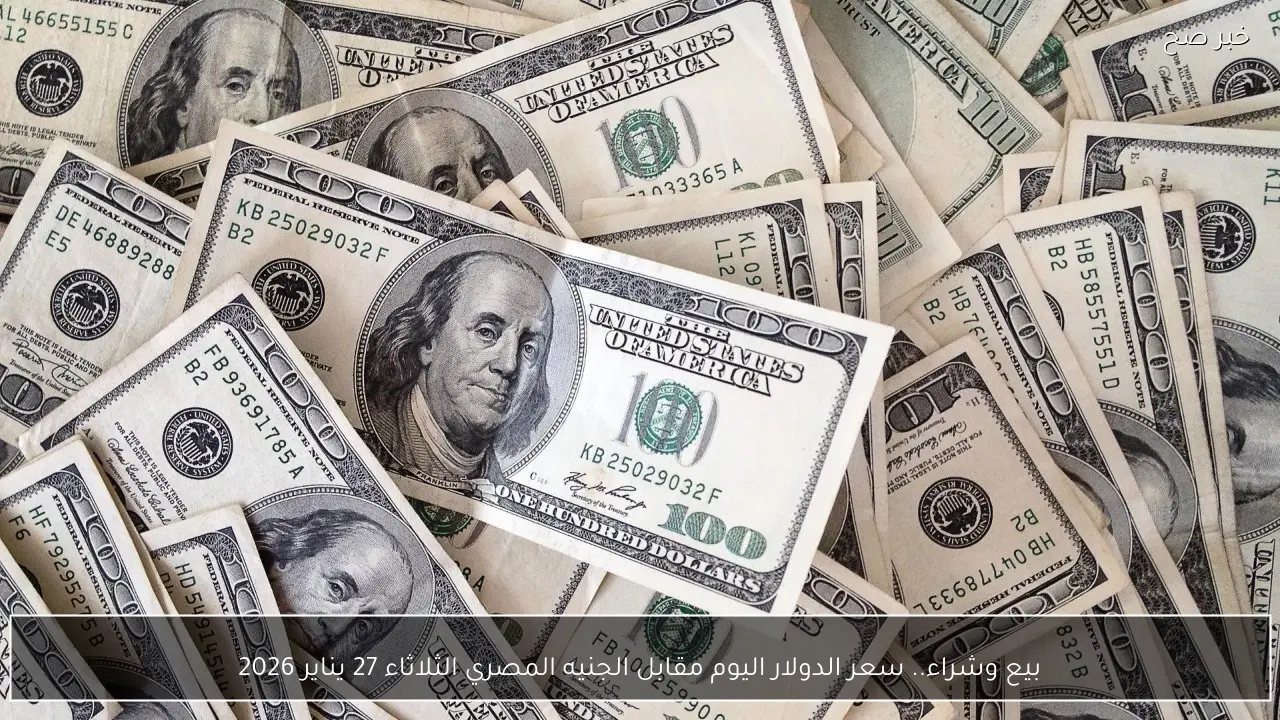 بيع وشراء.. سعر الدولار اليوم مقابل الجنيه المصري الثلاثاء 27 يناير 2026