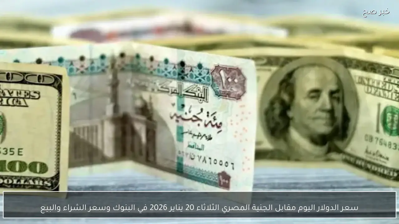 سعر الدولار اليوم مقابل الجنية المصري الثلاثاء 20 يناير 2026 في البنوك وسعر الشراء والبيع