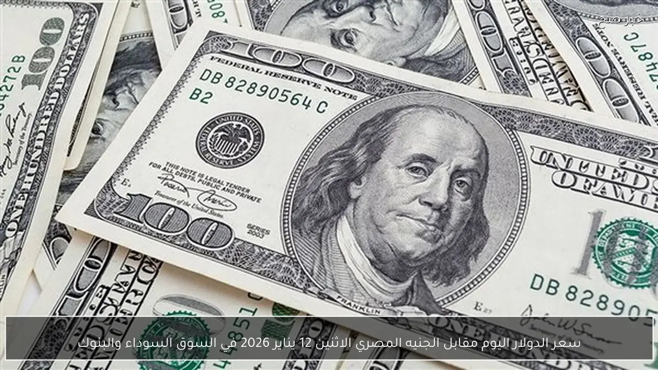 سعر الدولار اليوم مقابل الجنيه المصري الاثنين 12 يناير 2026 في السوق السوداء والبنوك