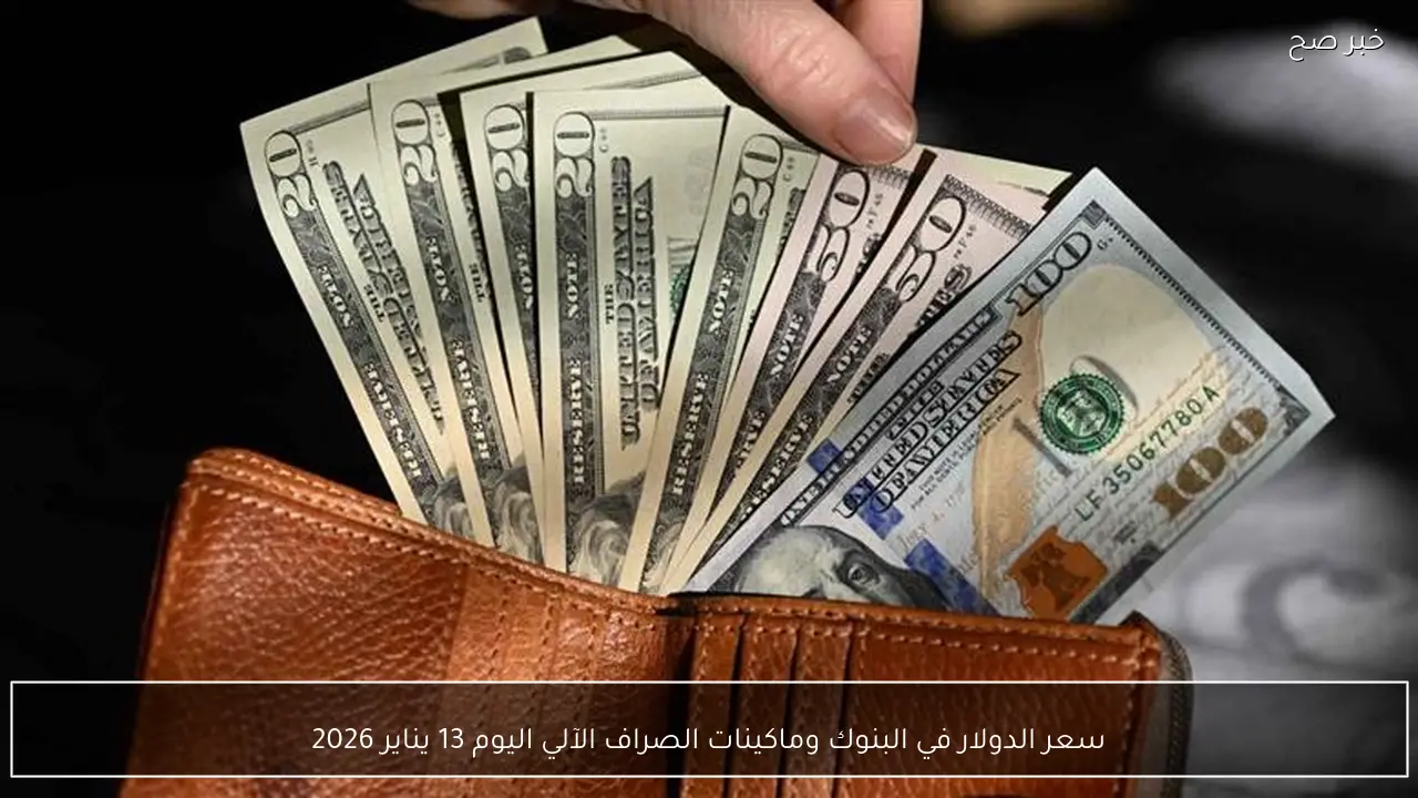 سعر الدولار في البنوك وماكينات الصراف الآلي اليوم 13 يناير 2026