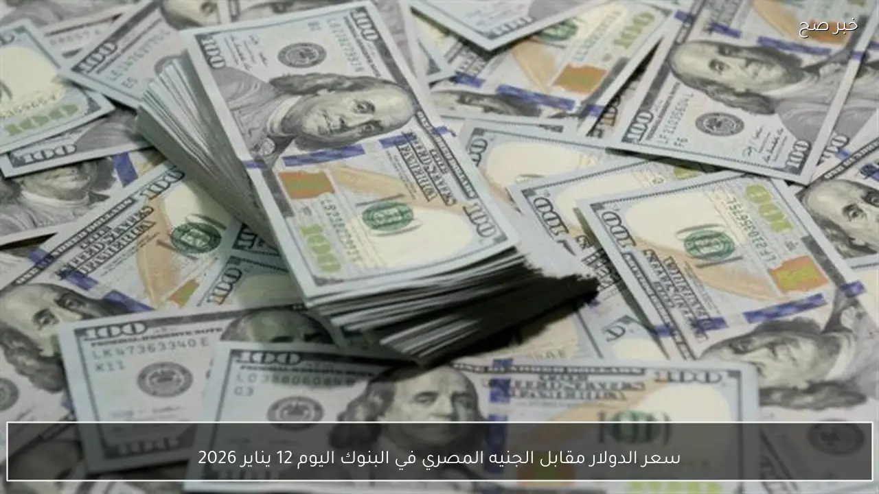 سعر الدولار مقابل الجنيه المصري في البنوك اليوم 12 يناير 2026