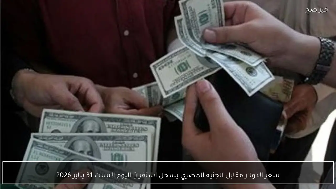 سعر الدولار مقابل الجنيه المصري يسجل استقرارًا اليوم السبت 31 يناير 2026