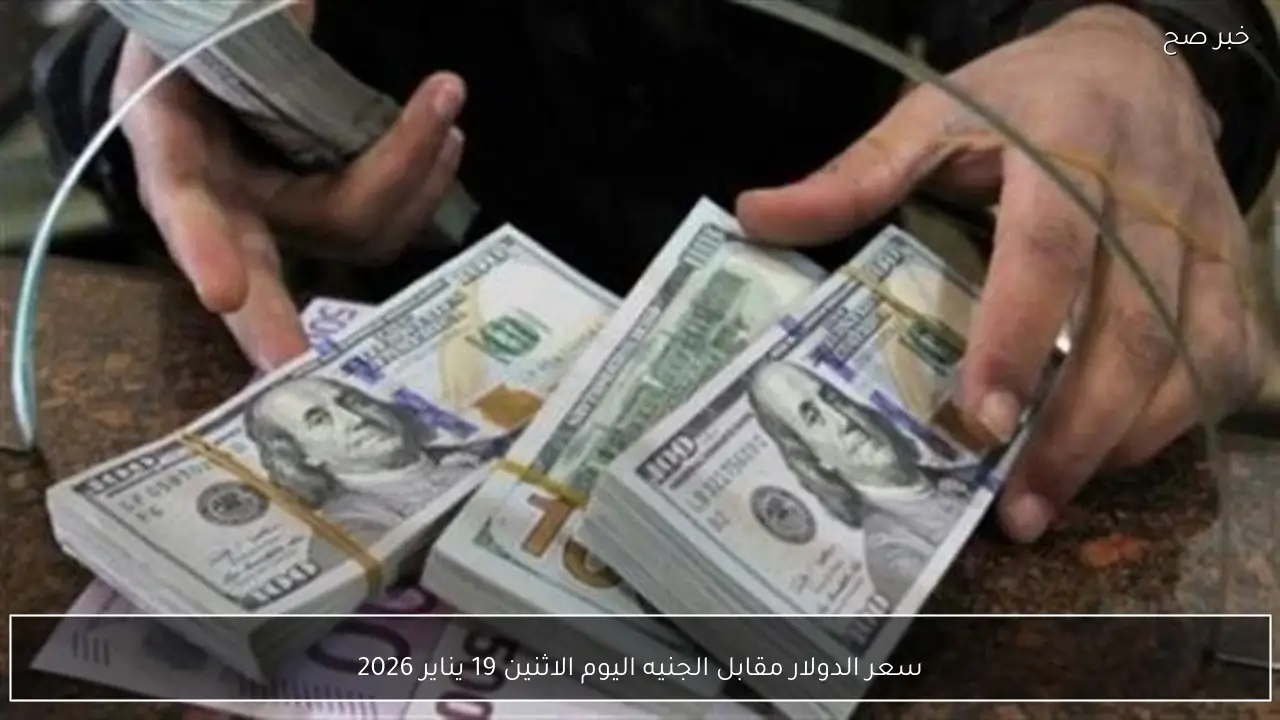 سعر الدولار مقابل الجنيه اليوم الاثنين 19 يناير 2026