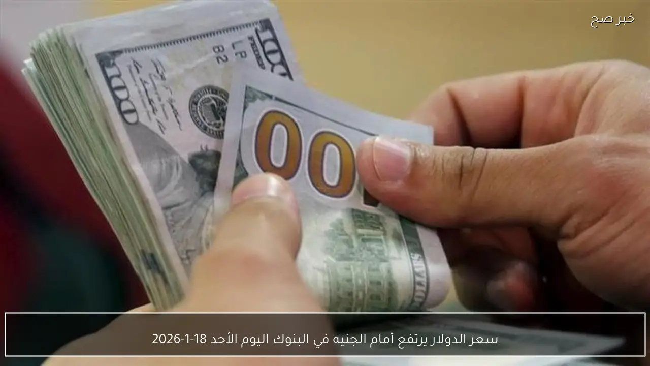 سعر الدولار يرتفع أمام الجنيه في البنوك اليوم الأحد 18-1-2026