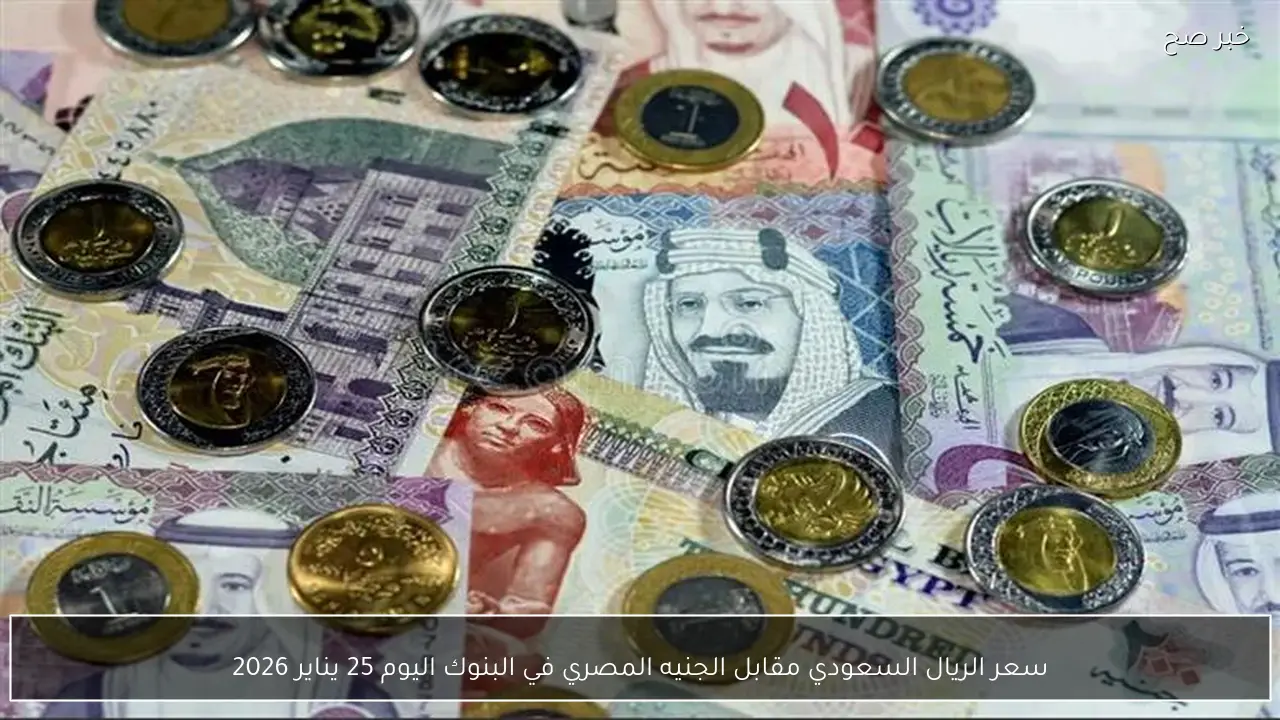 سعر الريال السعودي مقابل الجنيه المصري في البنوك اليوم 25 يناير 2026