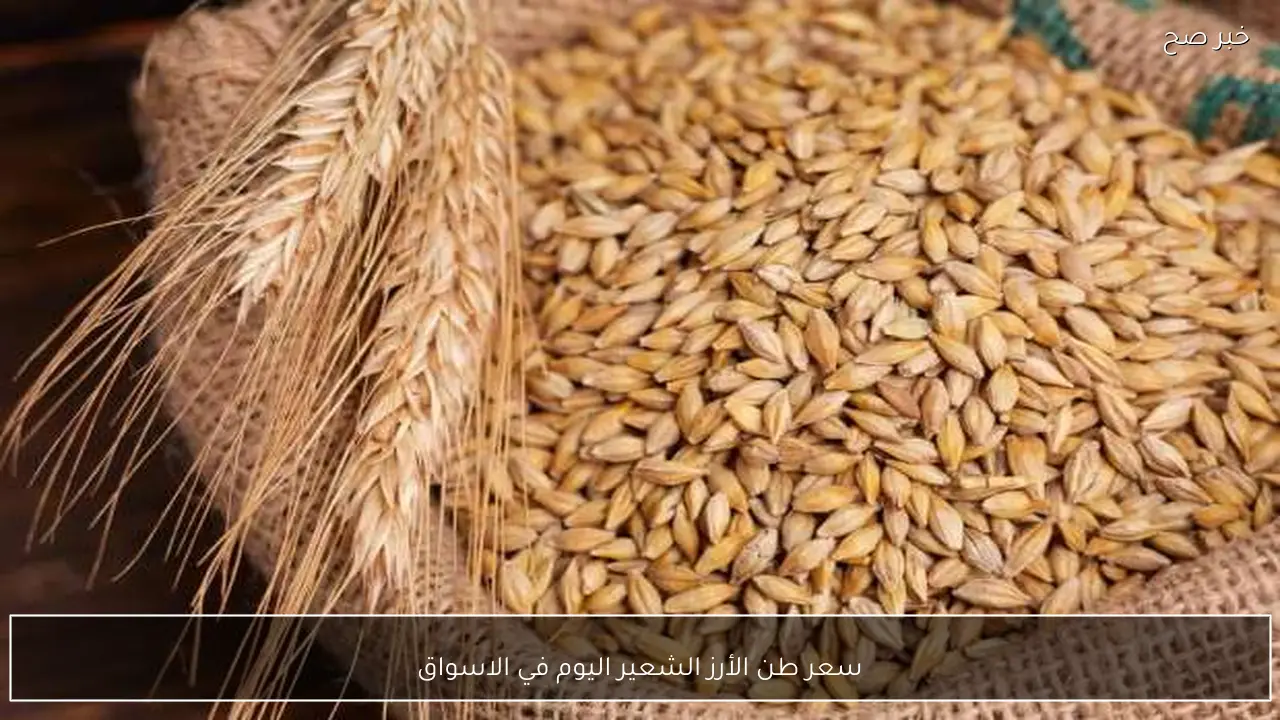 سعر طن الأرز الشعير اليوم في الاسواق