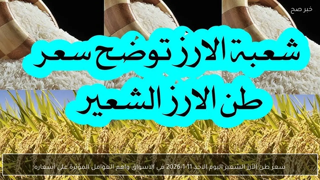 سعر طن الأرز الشعير اليوم الاحد 11-1-2026 في الاسواق واهم العوامل المؤثرة علي أسعاره
