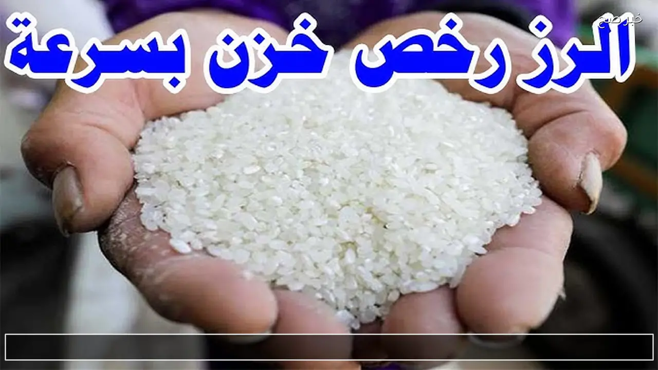 سعر طن الأرز الشعير اليوم الأحد 11 يناير 2026 في الأسواق
