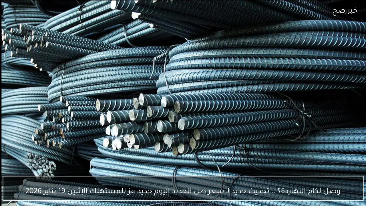سعر طن الحديد اليوم حديد عز في مصر الخميس 8 يناير 2026 داخل سوق مواد البناء