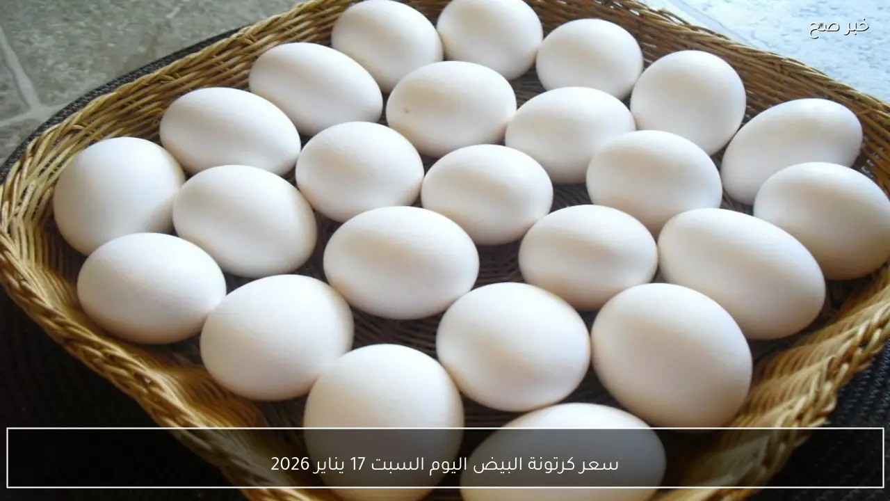 سعر كرتونة البيض اليوم السبت 17 يناير 2026 في الأسواق المحلية للمستهلك والجملة