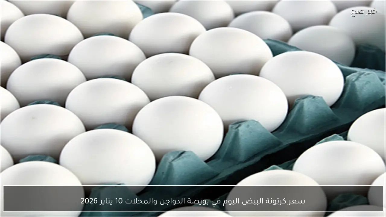 سعر كرتونة البيض اليوم في بورصة الدواجن والمحلات 10 يناير 2026
