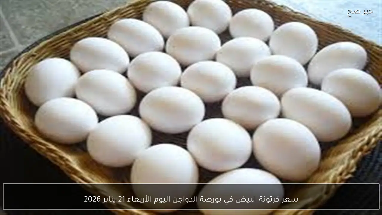 سعر كرتونة البيض في بورصة الدواجن اليوم الأربعاء 21 يناير 2026