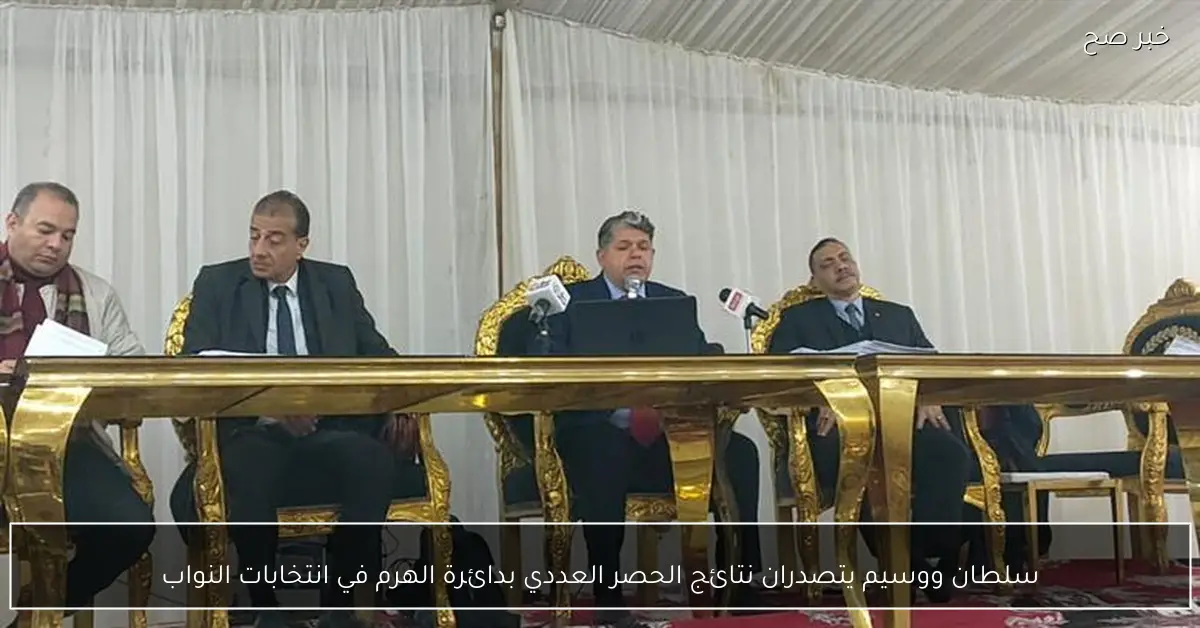 سلطان ووسيم يتصدران نتائج الحصر العددي بدائرة الهرم في انتخابات النواب