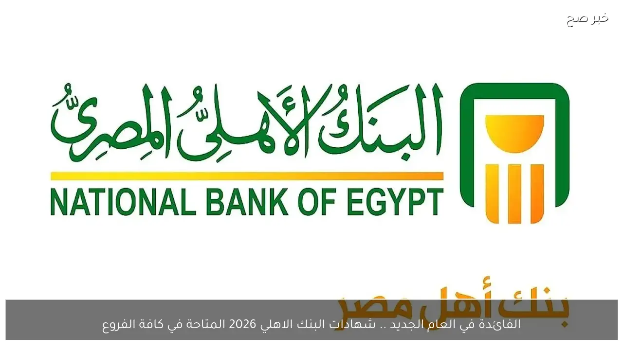 الفائدة في العام الجديد .. شهادات البنك الاهلي 2026 المتاحة في كافة الفروع