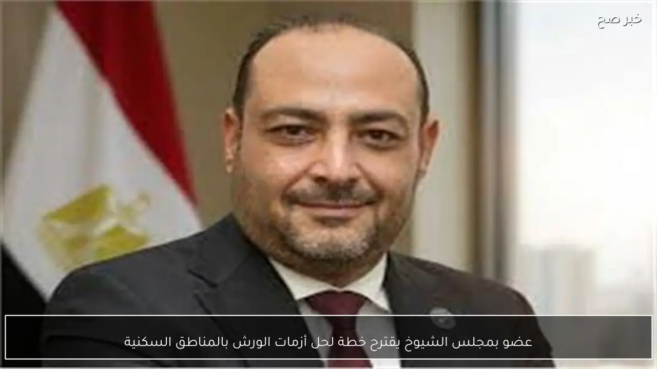 عضو بمجلس الشيوخ يقترح خطة لحل أزمات الورش بالمناطق السكنية