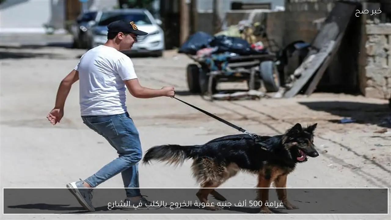 غرامة 500 ألف جنيه عقوبة الخروج بالكلب في الشارع