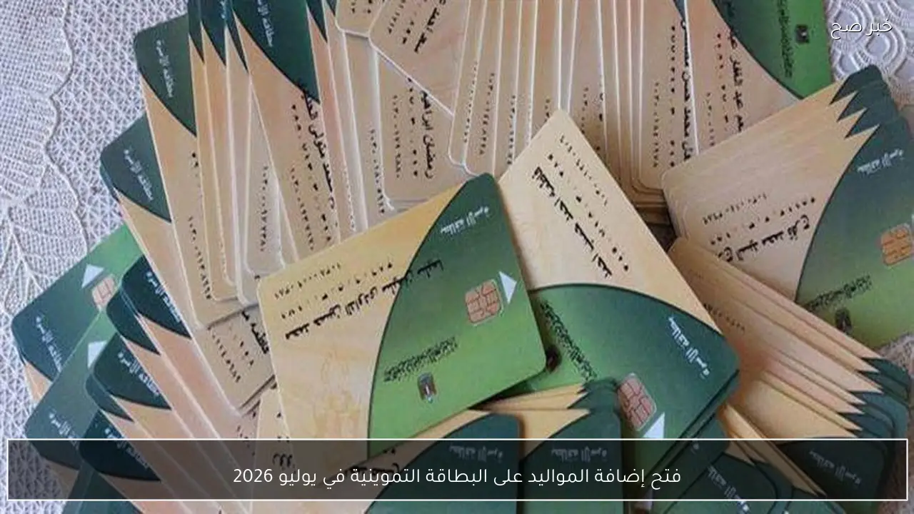 فتح إضافة المواليد على البطاقة التموينية في يوليو 2026