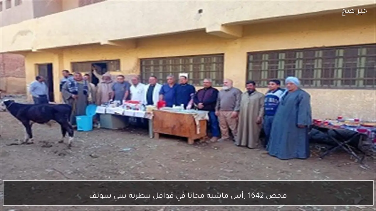 فحص 1642 رأس ماشية مجانا في قوافل بيطرية ببني سويف