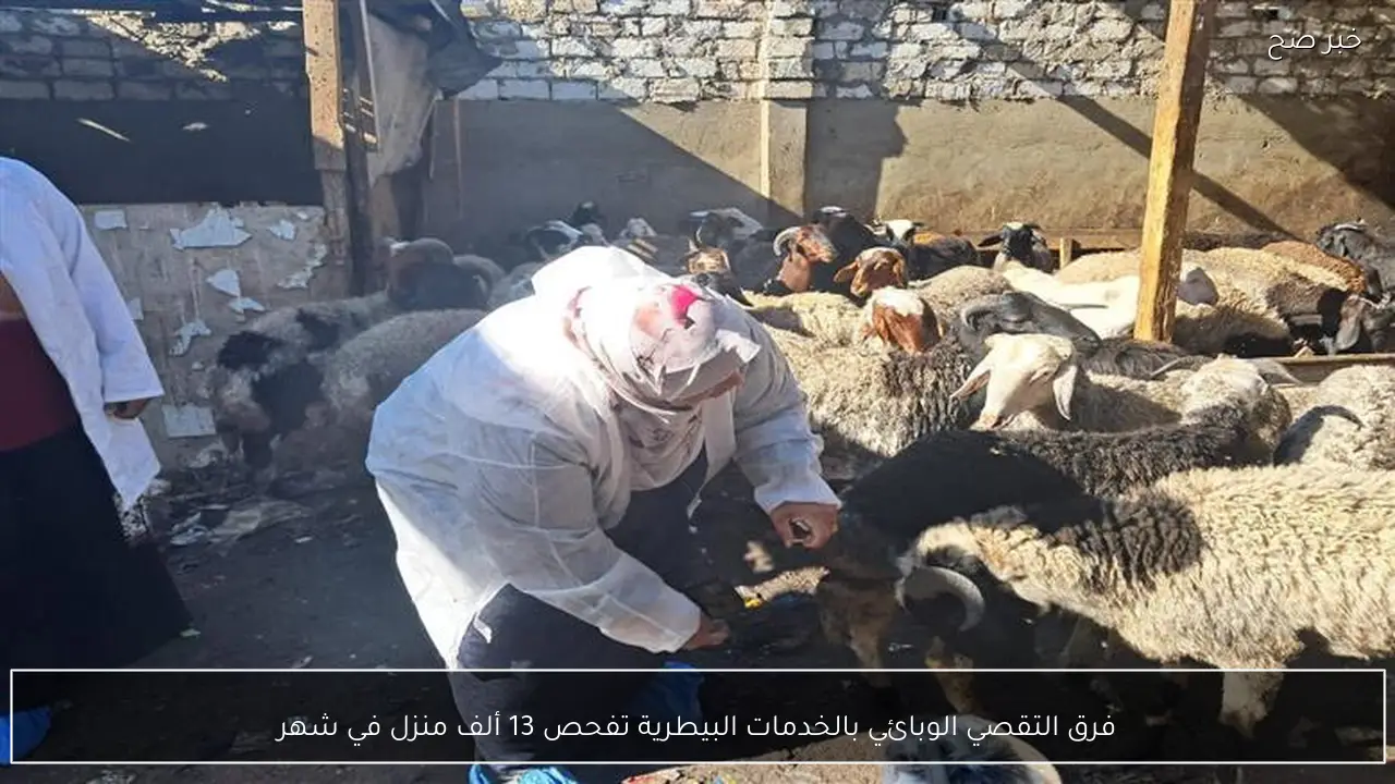 فرق التقصي الوبائي بالخدمات البيطرية تفحص 13 ألف منزل في شهر