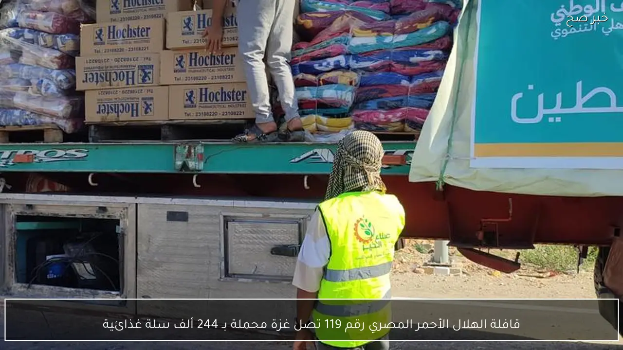 قافلة الهلال الأحمر المصري رقم 119 تصل غزة محملة بـ 244 ألف سلة غذائية